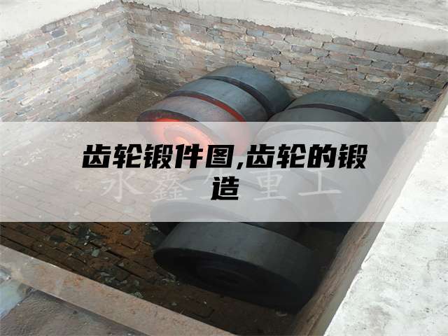 齿轮锻件图,齿轮的锻造